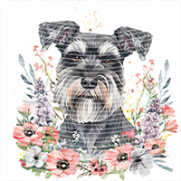 Animal Integration-DW 432